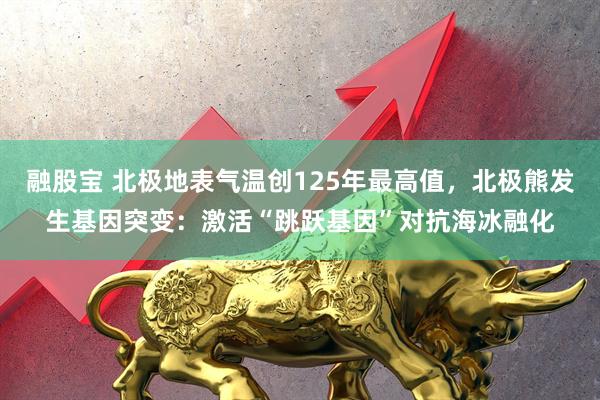 融股宝 北极地表气温创125年最高值，北极熊发生基因突变：激活“跳跃基因”对抗海冰融化