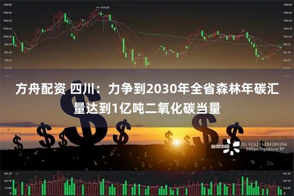 方舟配资 四川：力争到2030年全省森林年碳汇量达到1亿吨二氧化碳当量
