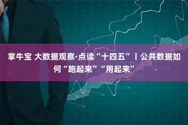 掌牛宝 大数据观察·点读“十四五”丨公共数据如何“跑起来”“用起来”